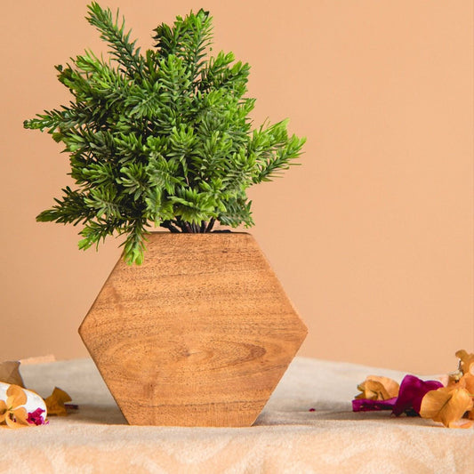 Hexagon Planter