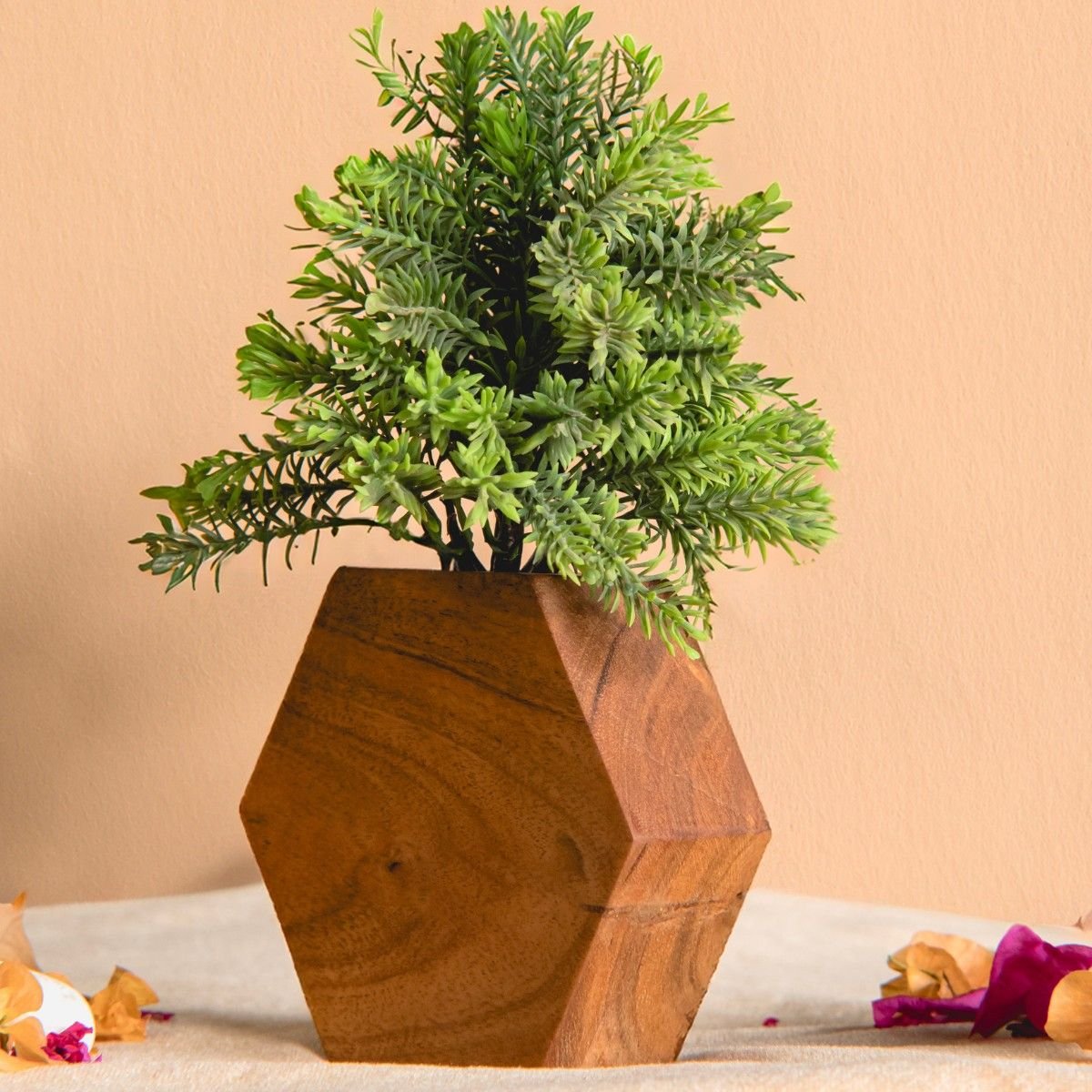 Hexagon Planter