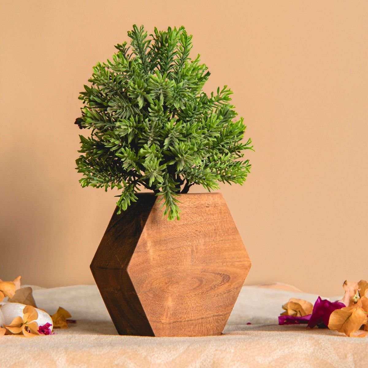 Hexagon Planter